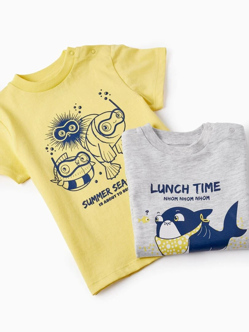 2 T shirts en Coton pour Bébé Garçon 'Summer Sea Son' manches courtes EXPLORING AUSTRALIA   Gris clair
