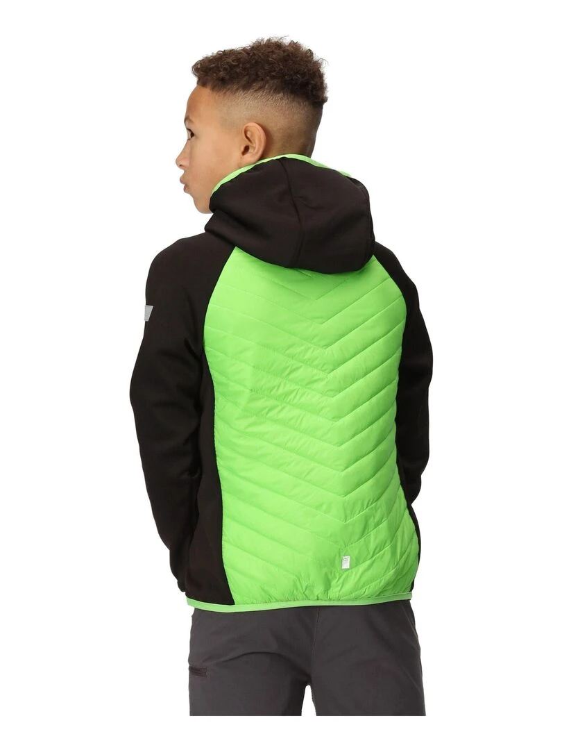 Regatta   Veste matelassée KIELDER HYBRID   Noir Vert