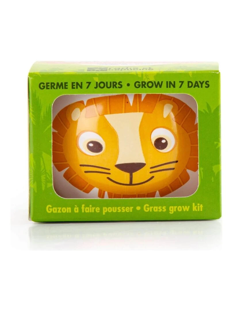 Kit jardinage : céramique Lion   N/A