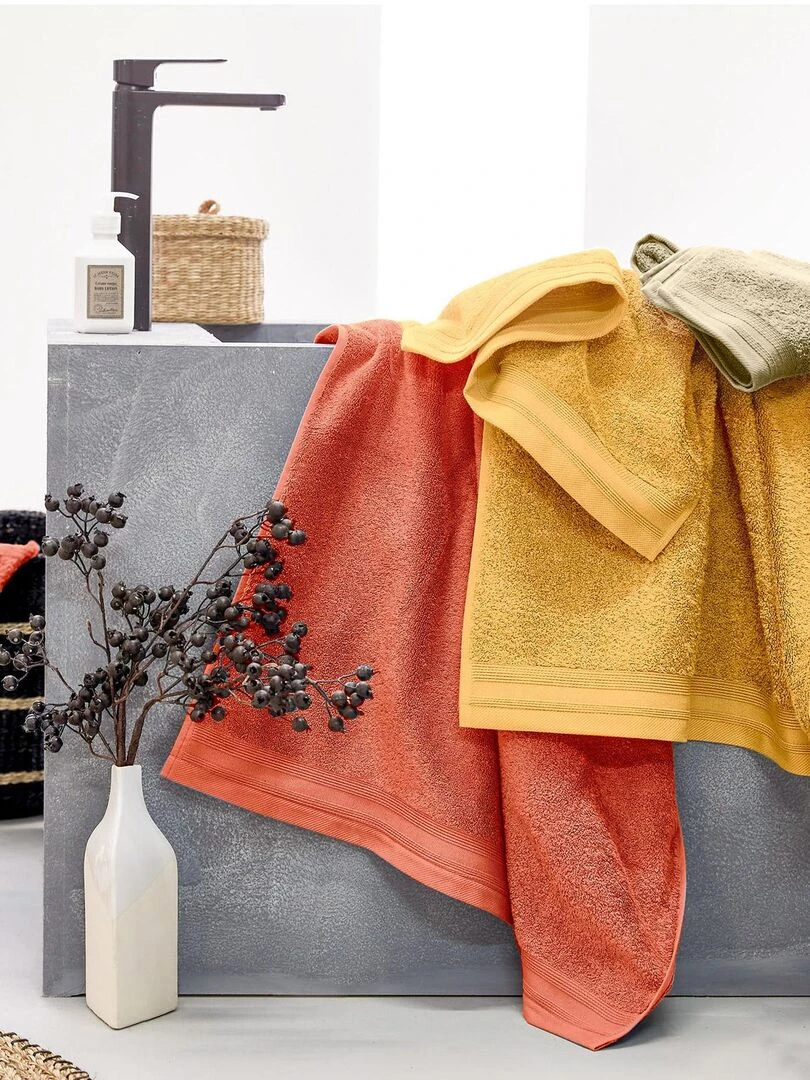 Set de 2 serviettes de toilette en éponge Rouge brique