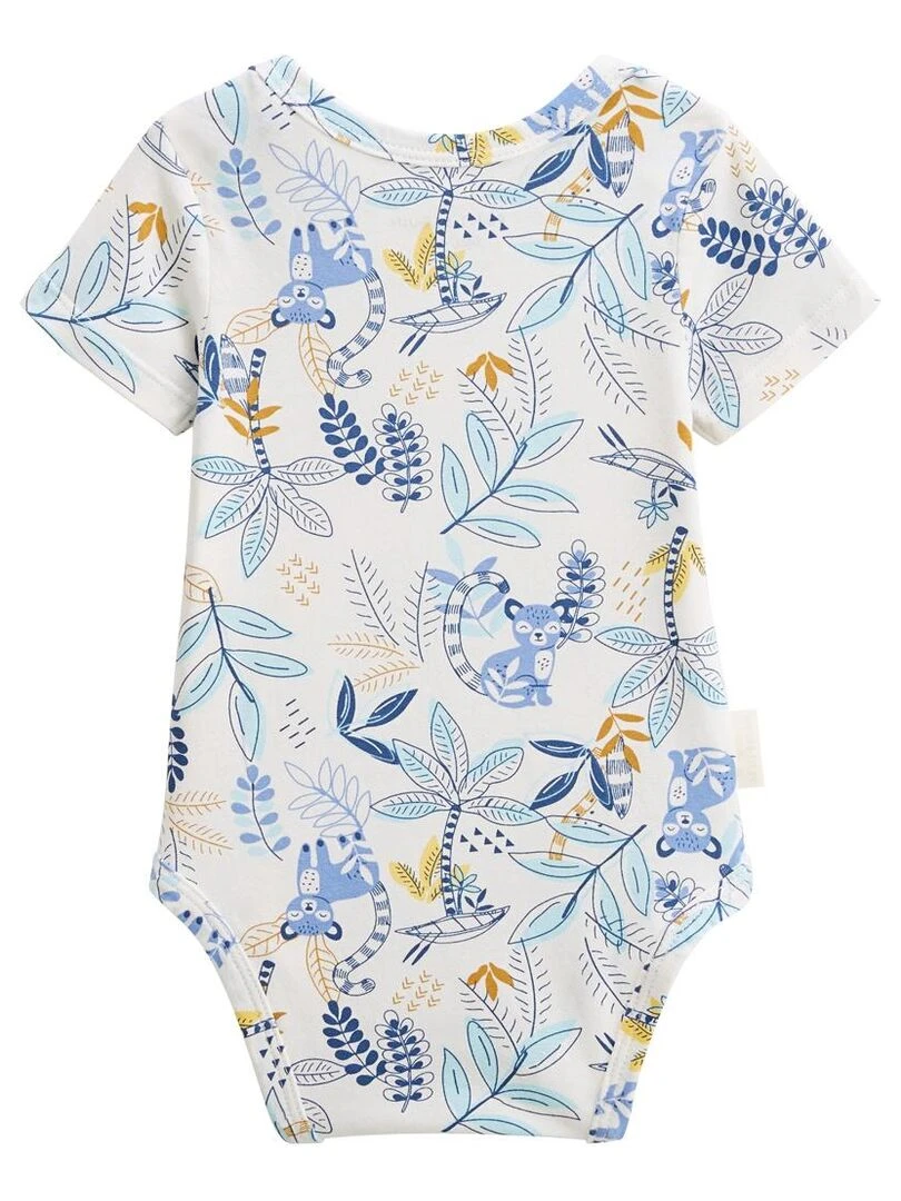 Lot de 2 bodies bébé manches courtes Gamboa   Bleu