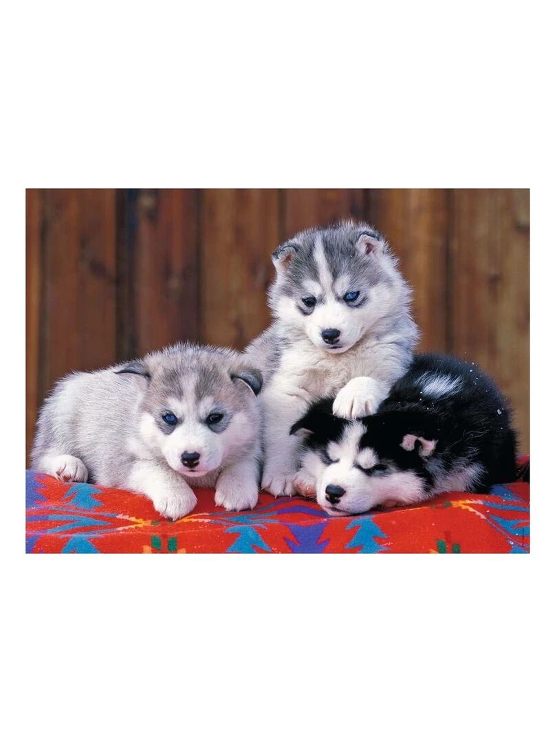 Puzzle XXL 200p Mignons Huskies N/A