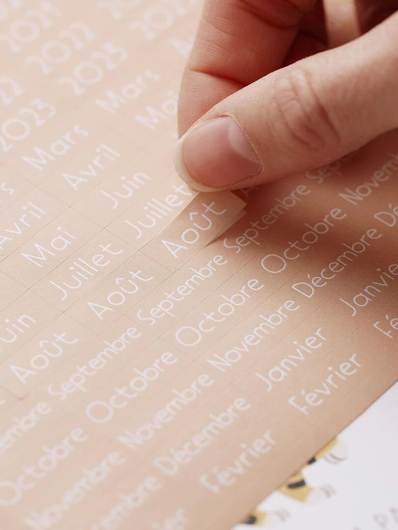 Affiche des premières fois à dater 'Ma Première Année'   Blanc