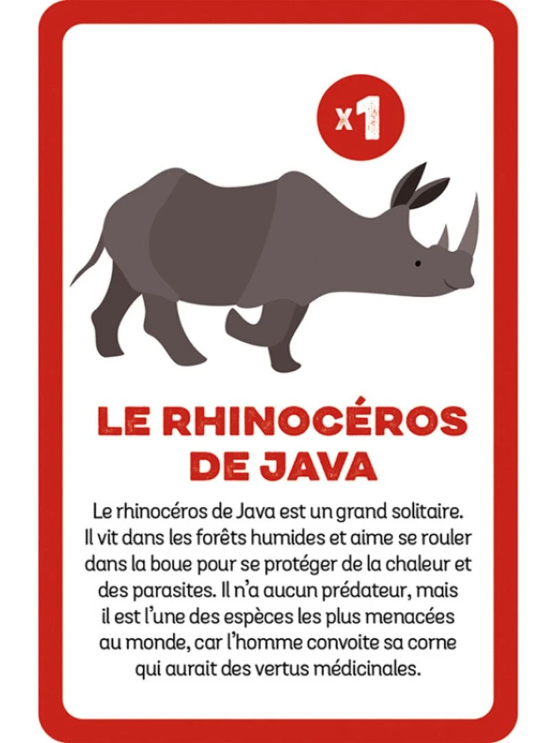 Jeu De Société Cherche Et Trouve Les Animaux Menacés   N/A