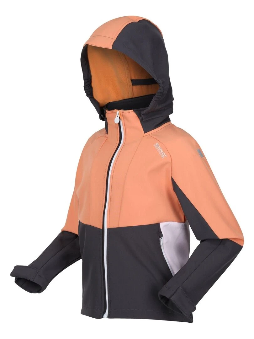 Regatta   Veste softshell HAYDENBURY   Gris Orange