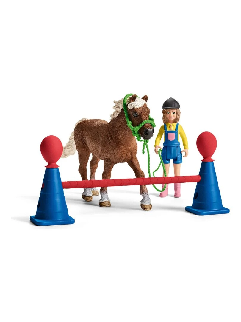 Entraînement d'agility pour poney   N/A