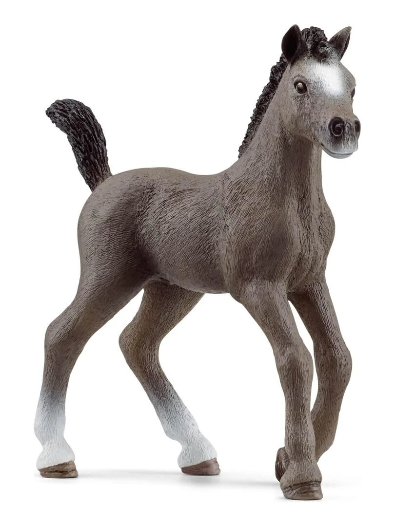 Figurine Horse Club : Poulain Selle Français N/A