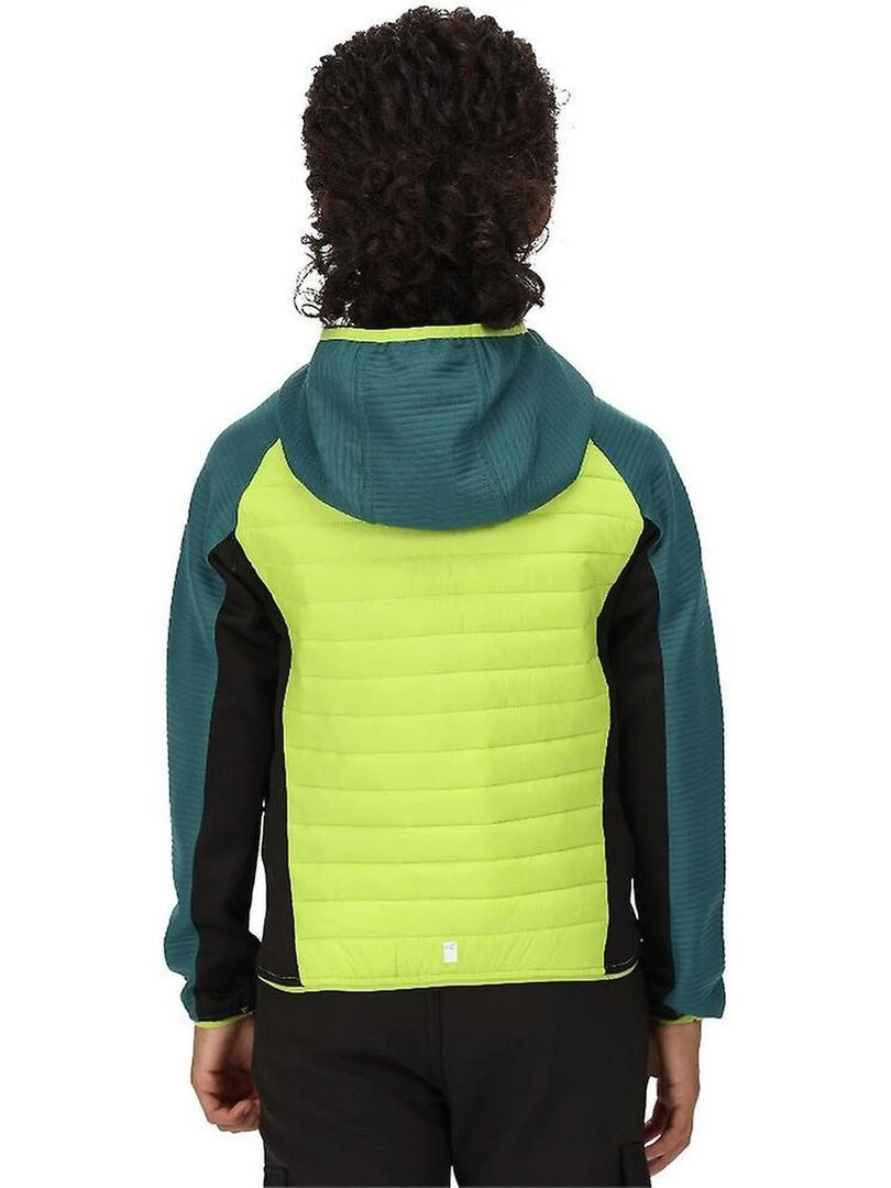 Regatta   Veste isolée KIELDER   Vert