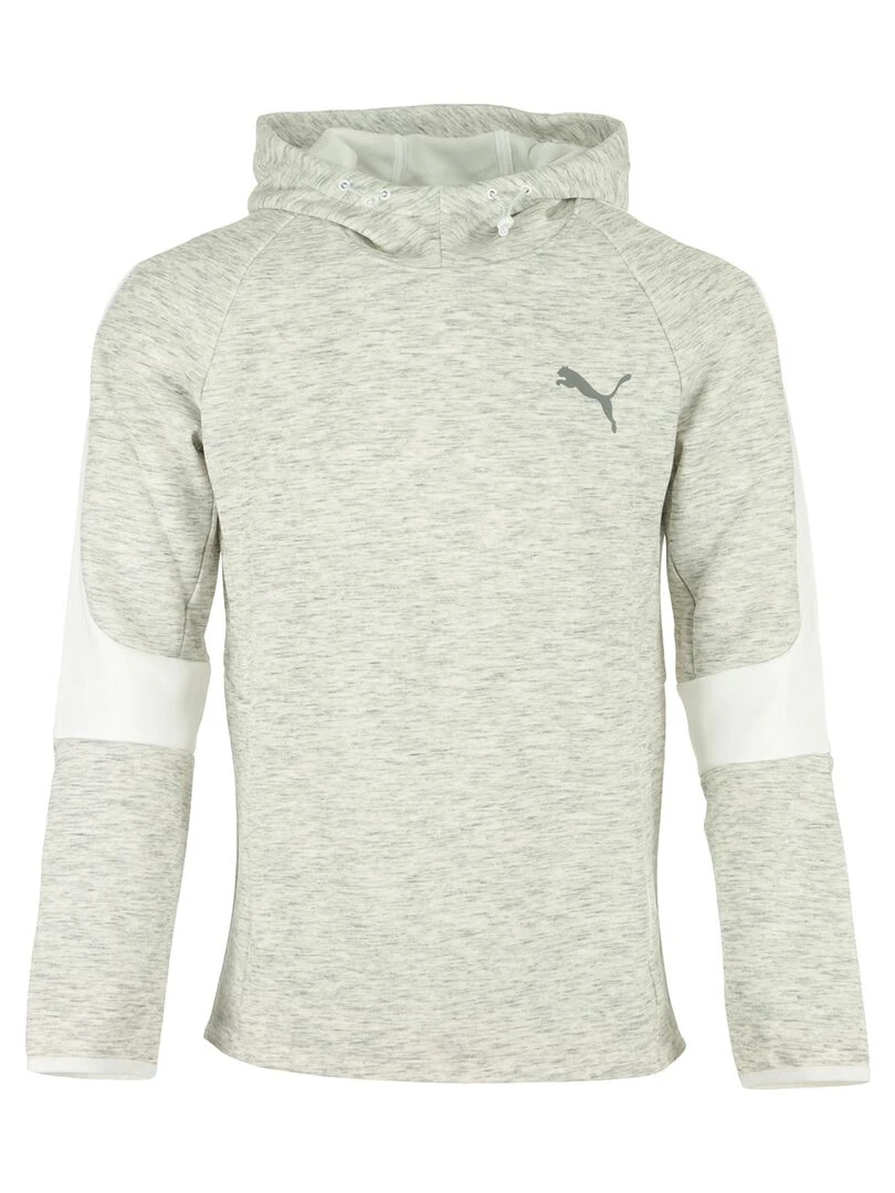 Sweat Evostripe Hoodie Gris