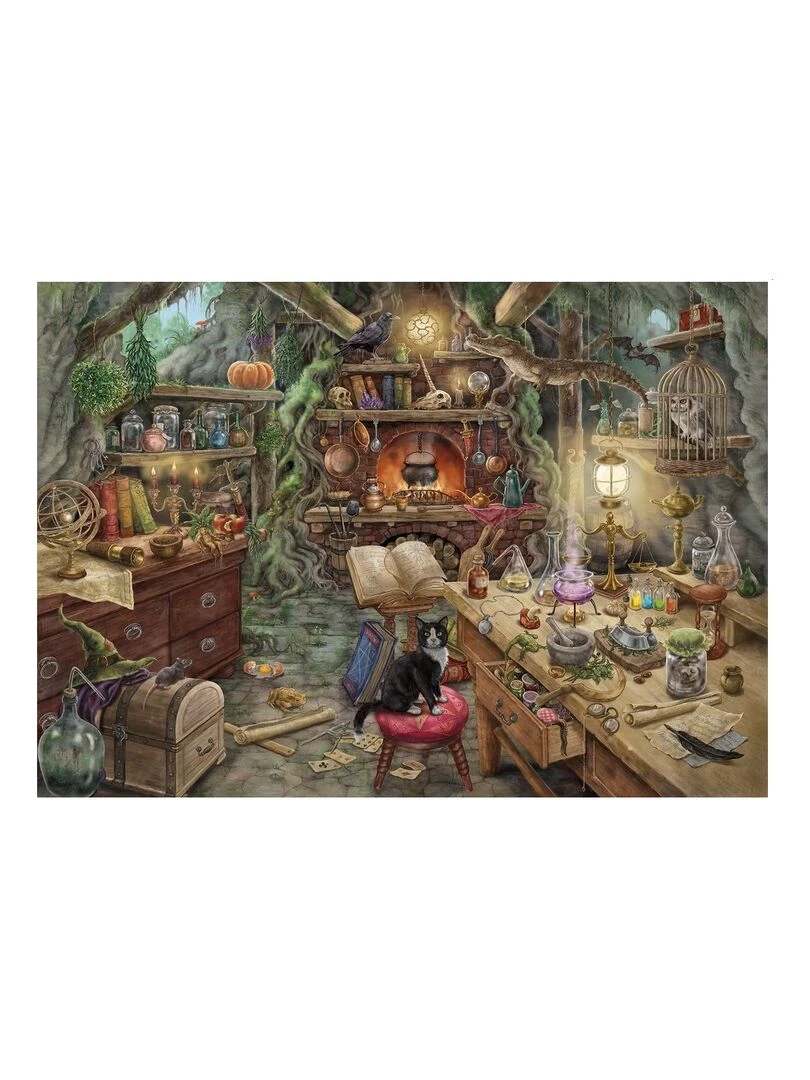 Escape Puzzle Cuisine De Sorciere N/A