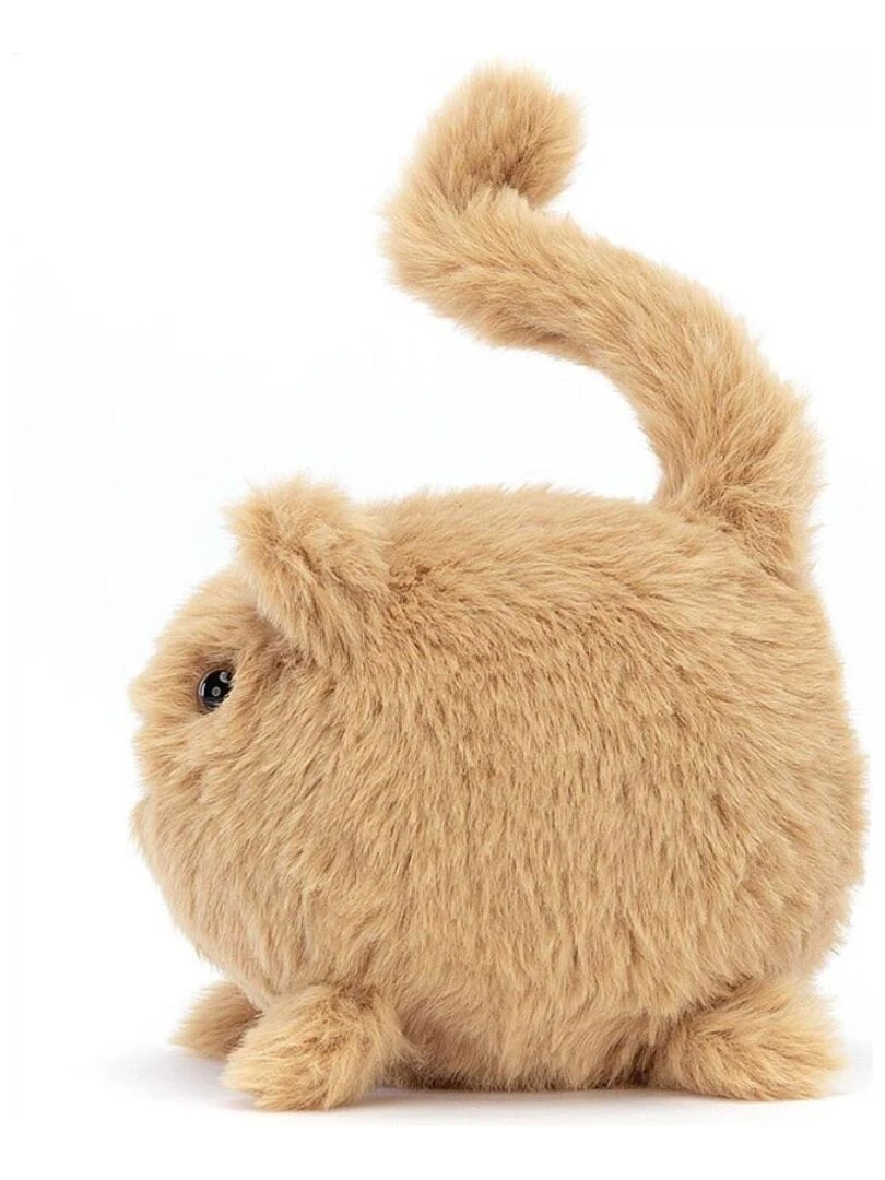 Kitten Caboodle Ginger   Marron