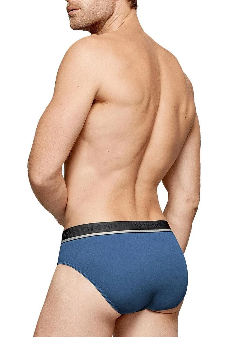 Pack de 2 slips en coton stretch Essentials   Bleu