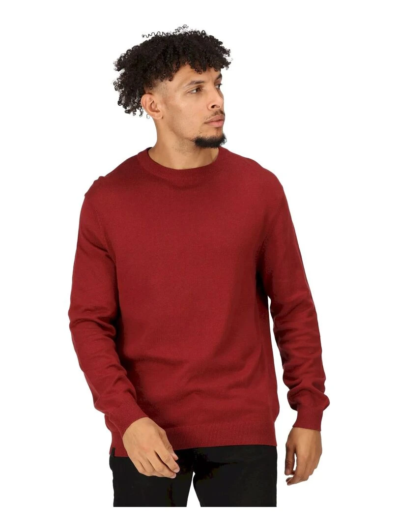 Regatta   Pull KAELEN   Rouge pourpre