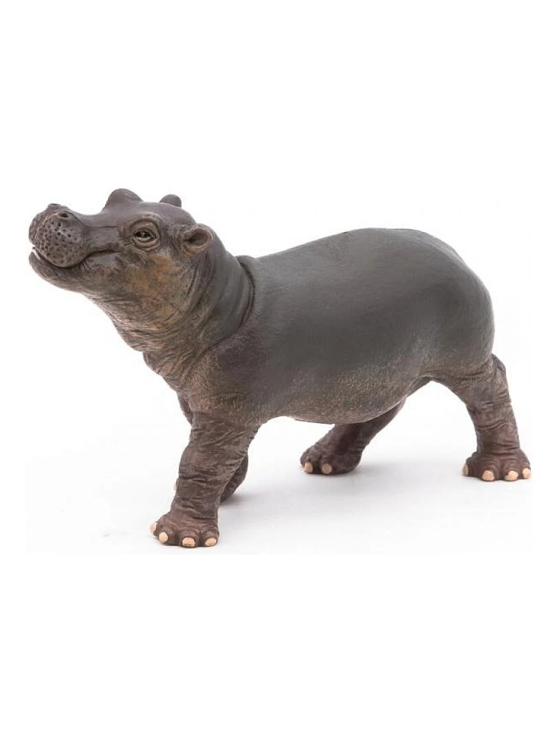 50052 Bébé Hippopotame Figurine   N/A
