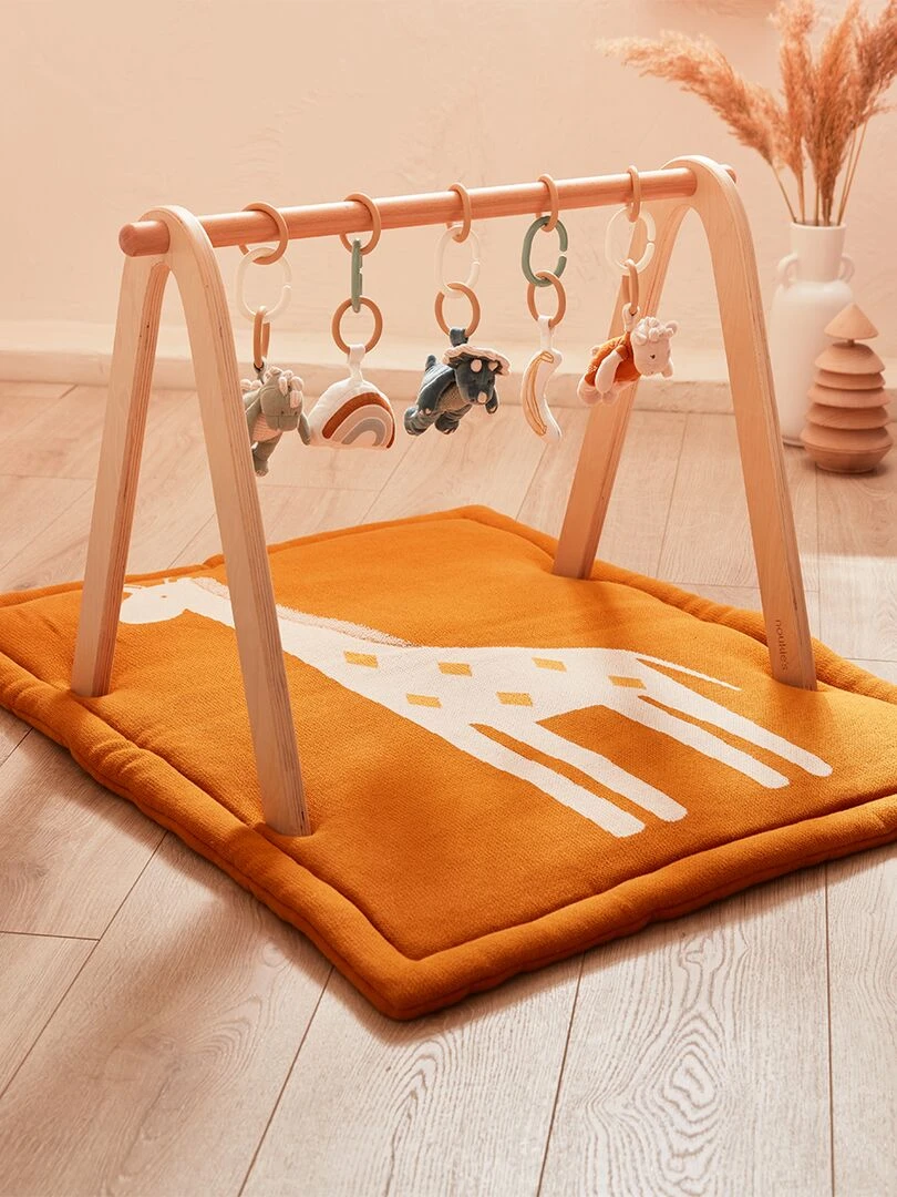 Set d'activités TSO pour arche d'éveil N/A