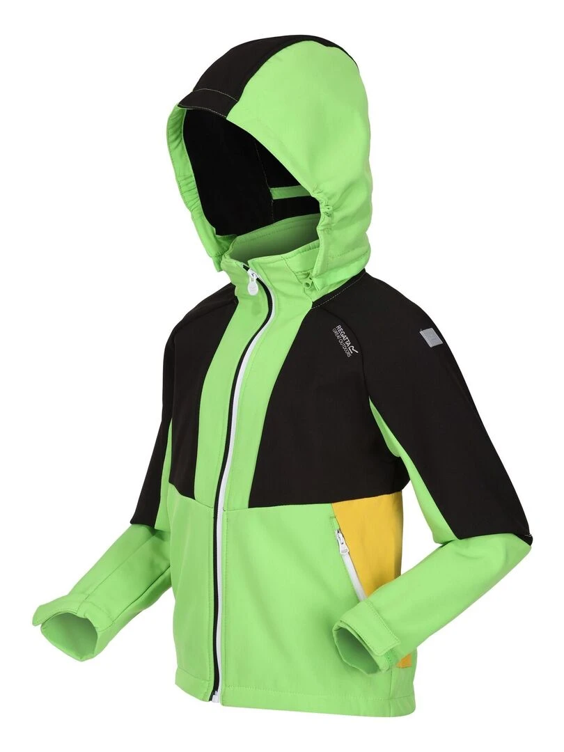 Regatta   Veste softshell HAYDENBURY   Vert clair