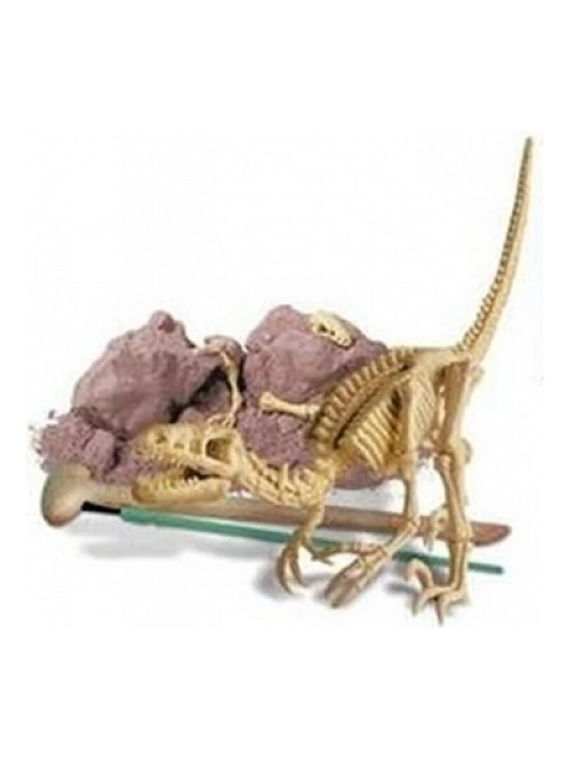 Deterre Ton Dinosaure Velociraptor N/A