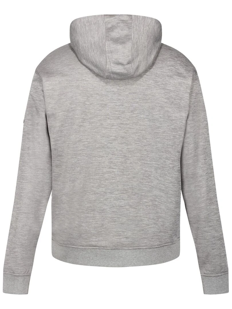 Regatta Sweat à capuche ORTOLAN Gris Argenté