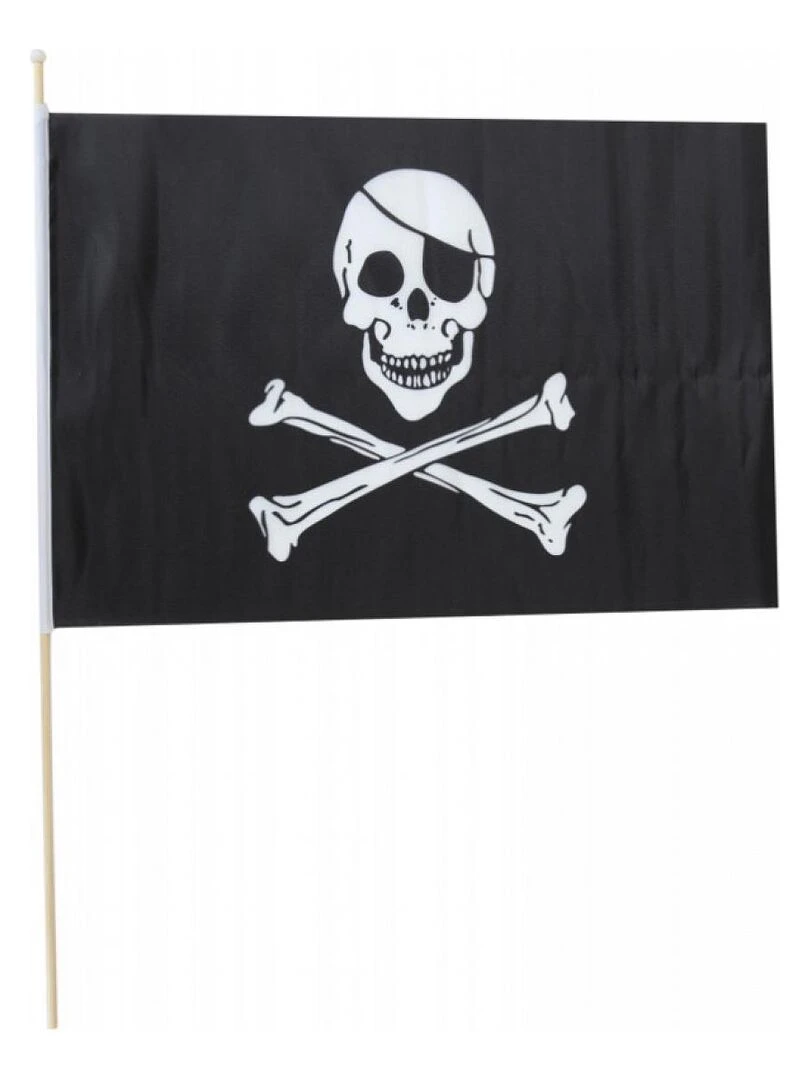 Drapeau de pirate 45cm x 30cm Multicolore