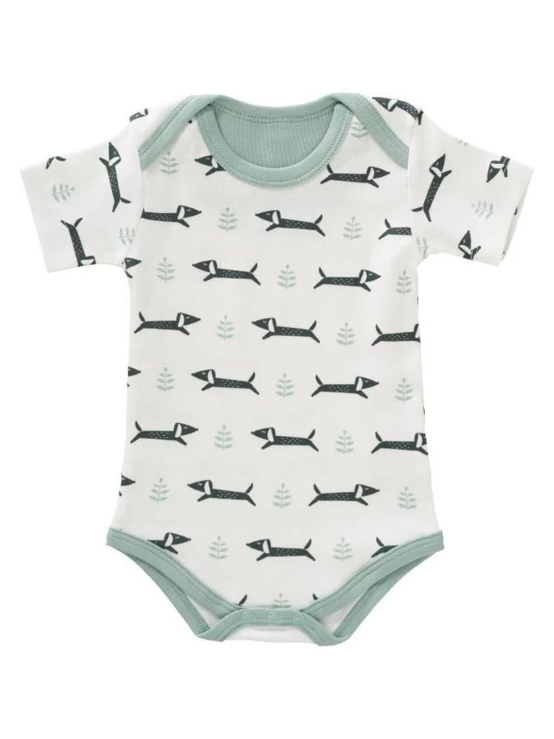 Body Teckel en Coton Bio Blanc