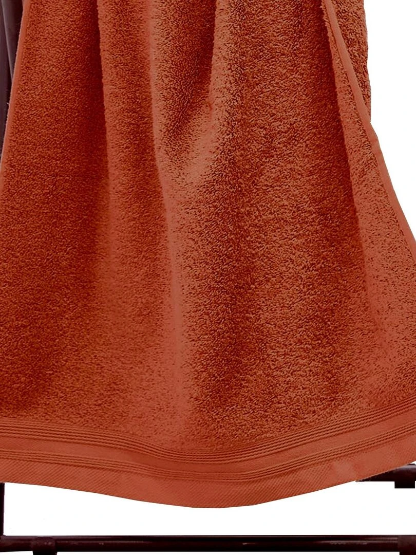Set de 2 serviettes de toilette en éponge Rouge brique