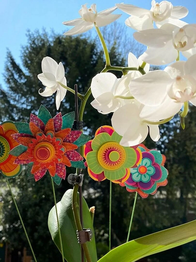 Art & Créations : Premier bouquet N/A