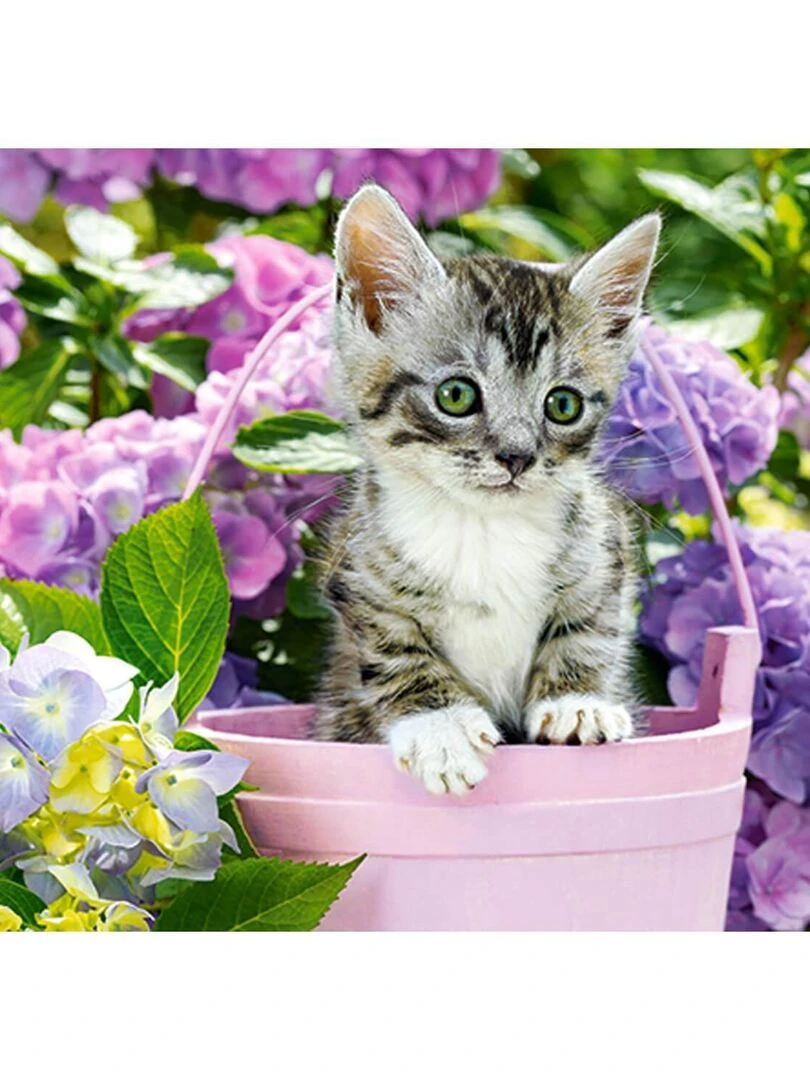 Puzzle 200 pièces : Chaton dans son panier N/A