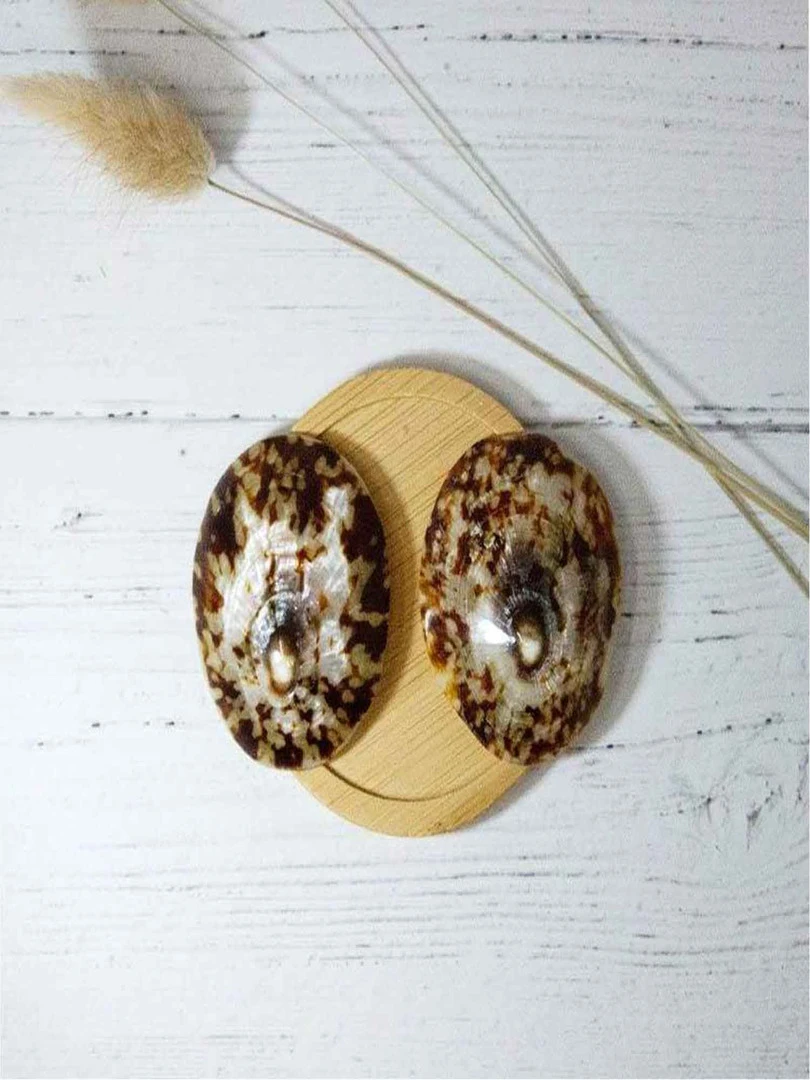 Lot De 2 Coquillages D'allaitement Mammaire   Marron