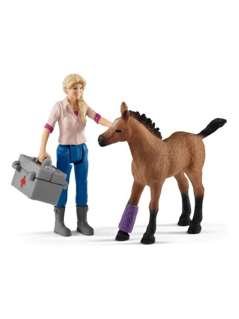 Visite du vétérinaire pour la jument et le poulain   N/A