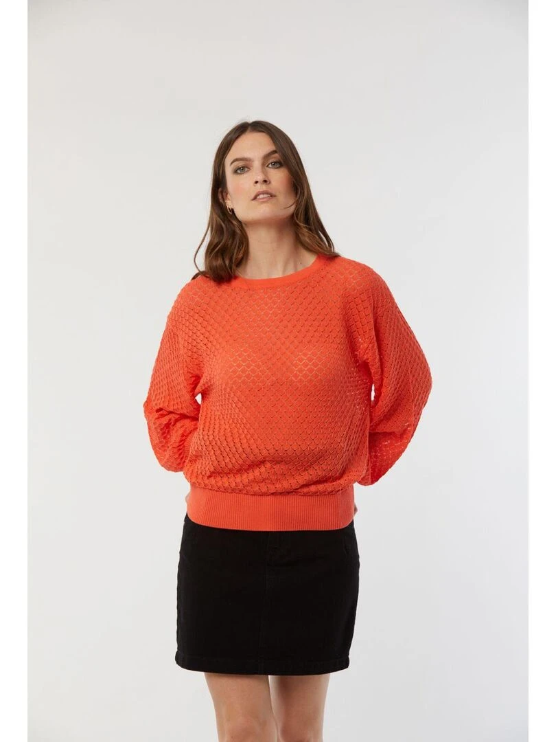 Lee Cooper   Pull manches longues coton regular CALIO   Orange