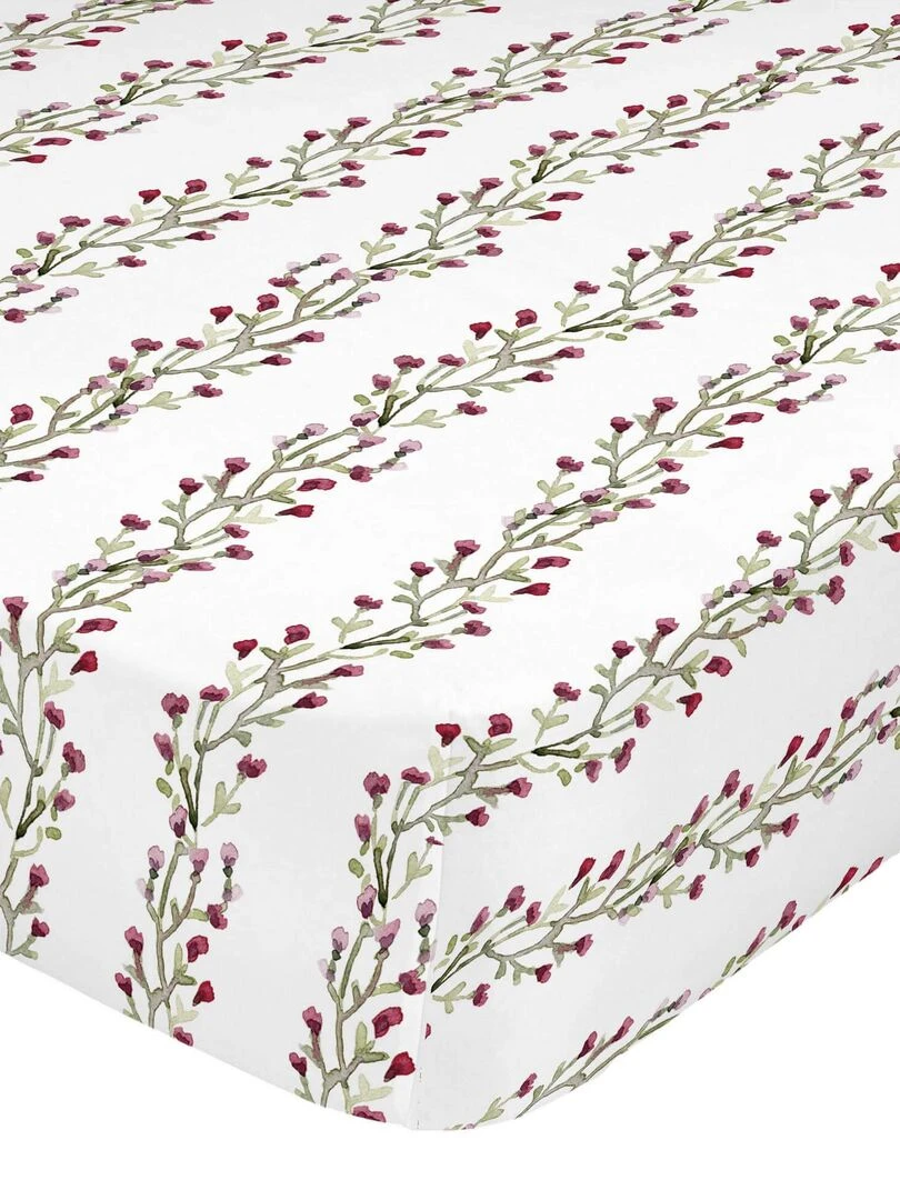 Drap housse Vernazza "Happyfriday" Multicolore