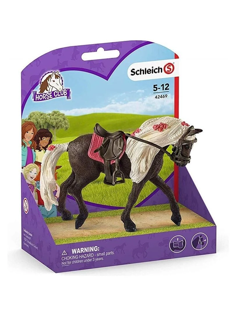 Jument Rocky Mountain Horse Spectacle équestre   N/A