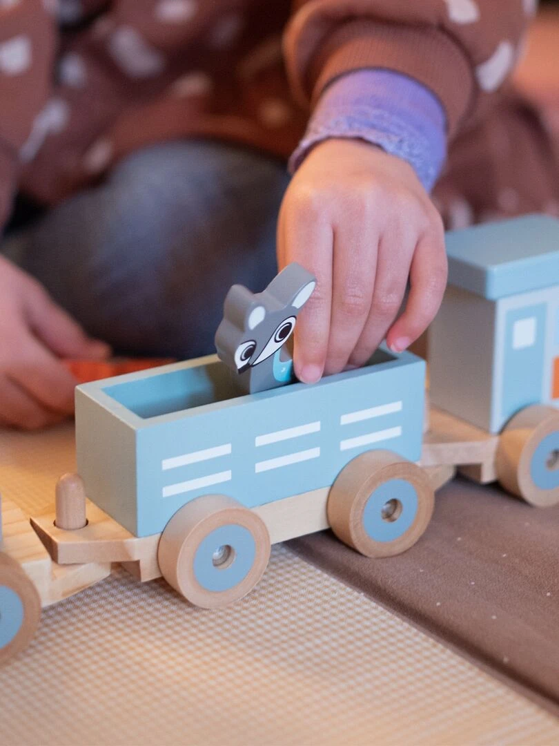 Petit train les animaux du zoo en bois rayures   Bleu Orange