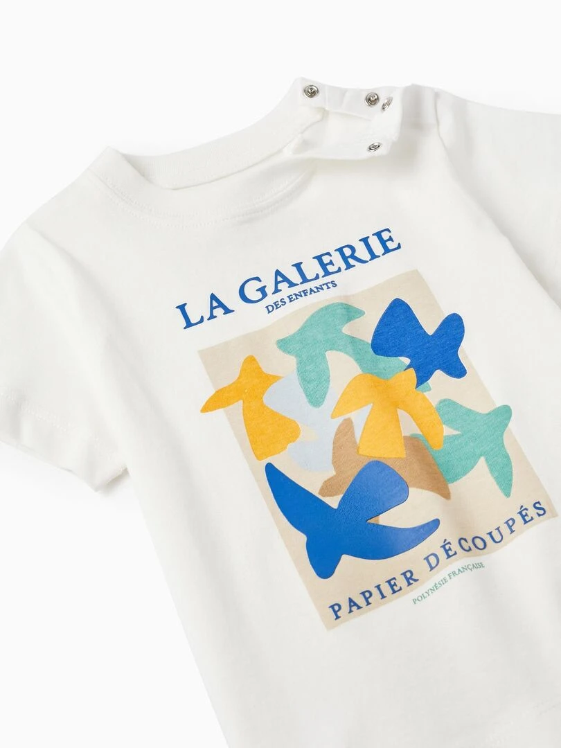 T shirt à manches courtes en coton pour bébé garçon 'La Galerie' manches courtes MATISSE   Blanc