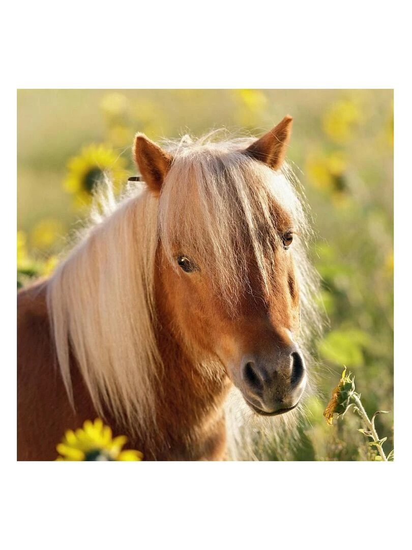 Puzzles 3x49 p Adorables poneys   N/A
