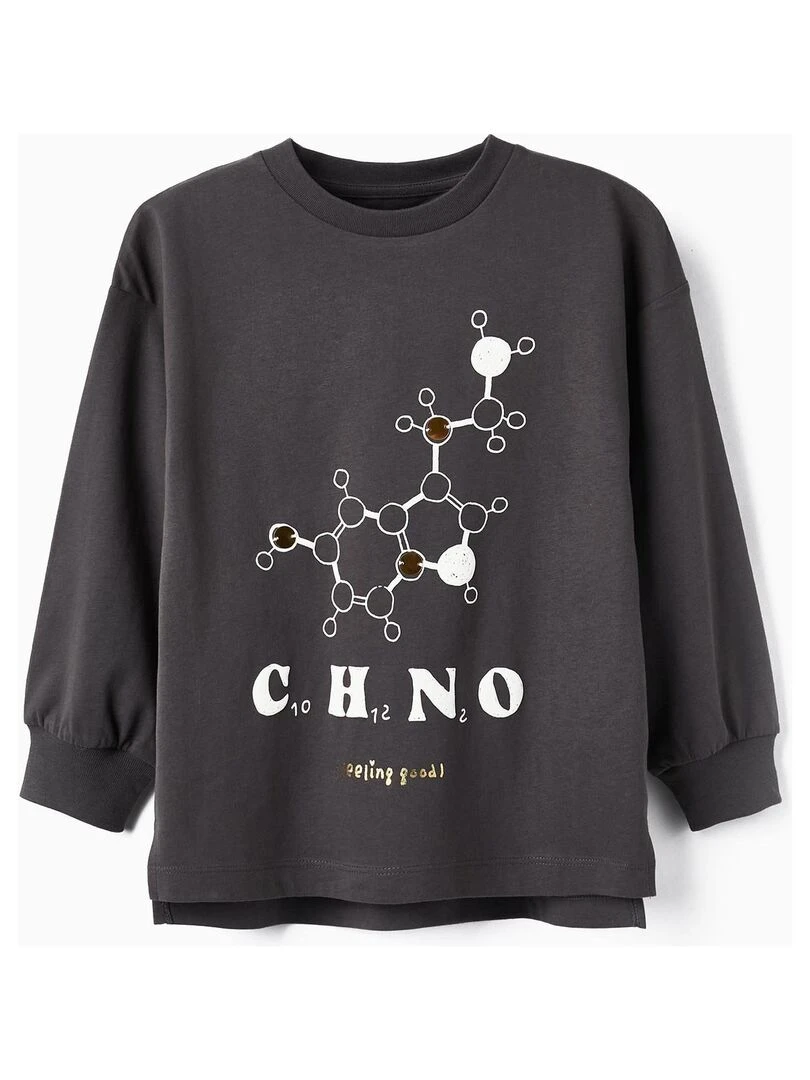 T shirt à manches longues great world 'Zippy' Gris foncé