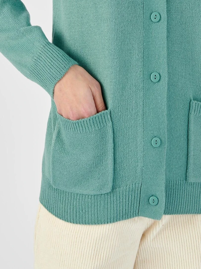 Gilet classique maille jersey Damart Vert clair