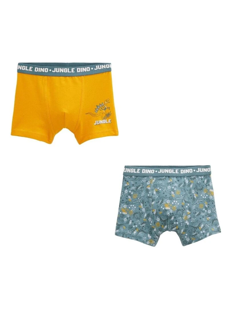 Lot de 2 boxers garçon Dino Jungle Kaki