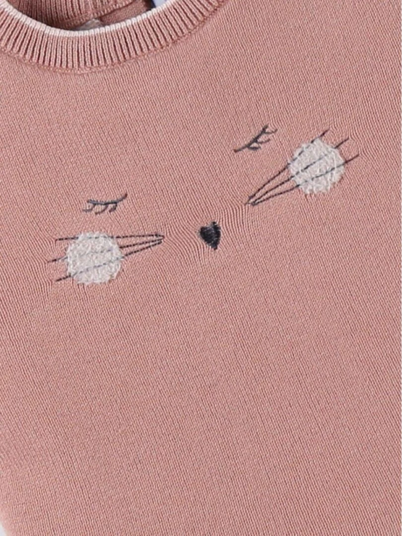 Robe chat tricot  foncé   Noukie's   Rose