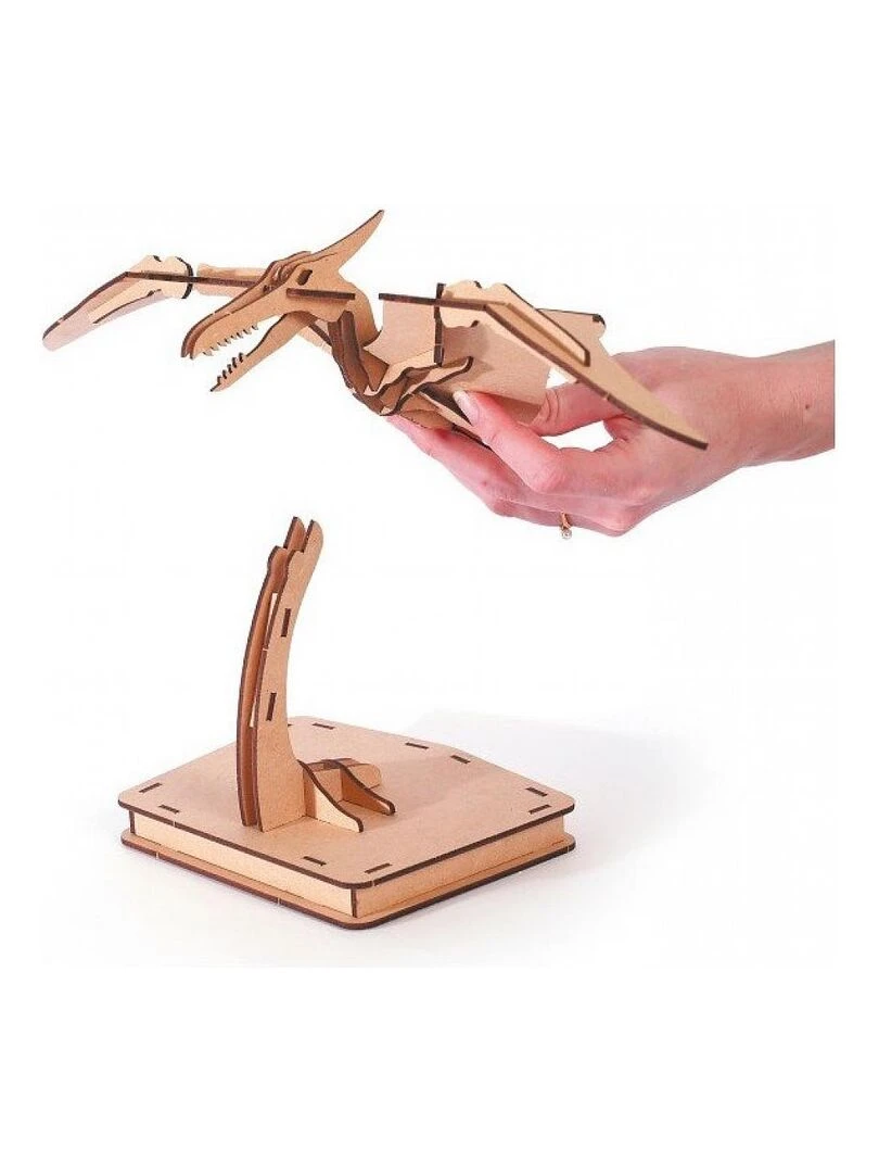Maquette en bois 3D Pterosaure N/A