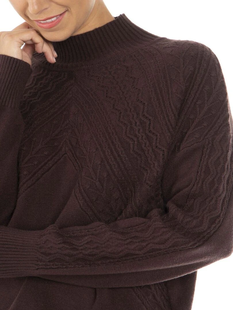 Pull col roulé PEPA   Gérard Pasquier   Marron foncé