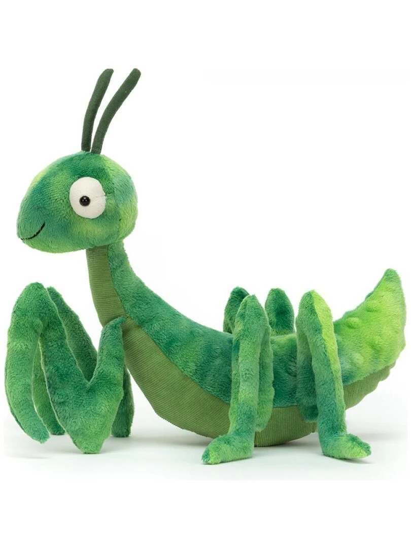 Penny Praying Mantis   Vert