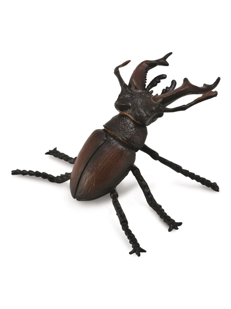 Figurine : scarabée cerf volant N/A