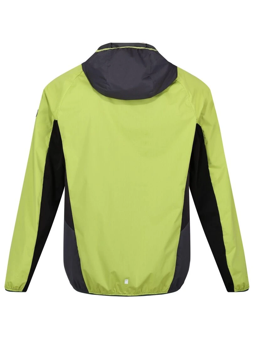 Regatta Veste softshell TARVOS Vert clair