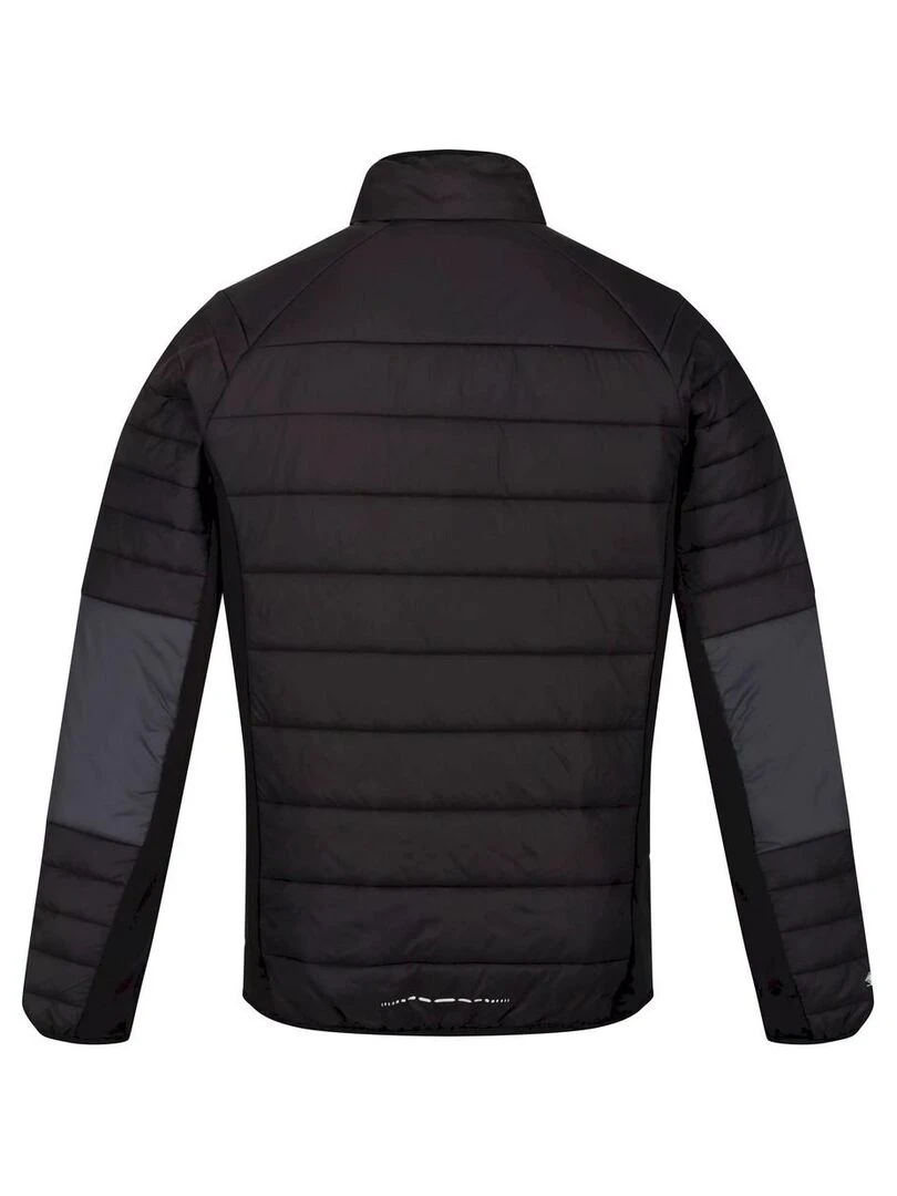 Regatta Veste softshell HALTON Gris foncé