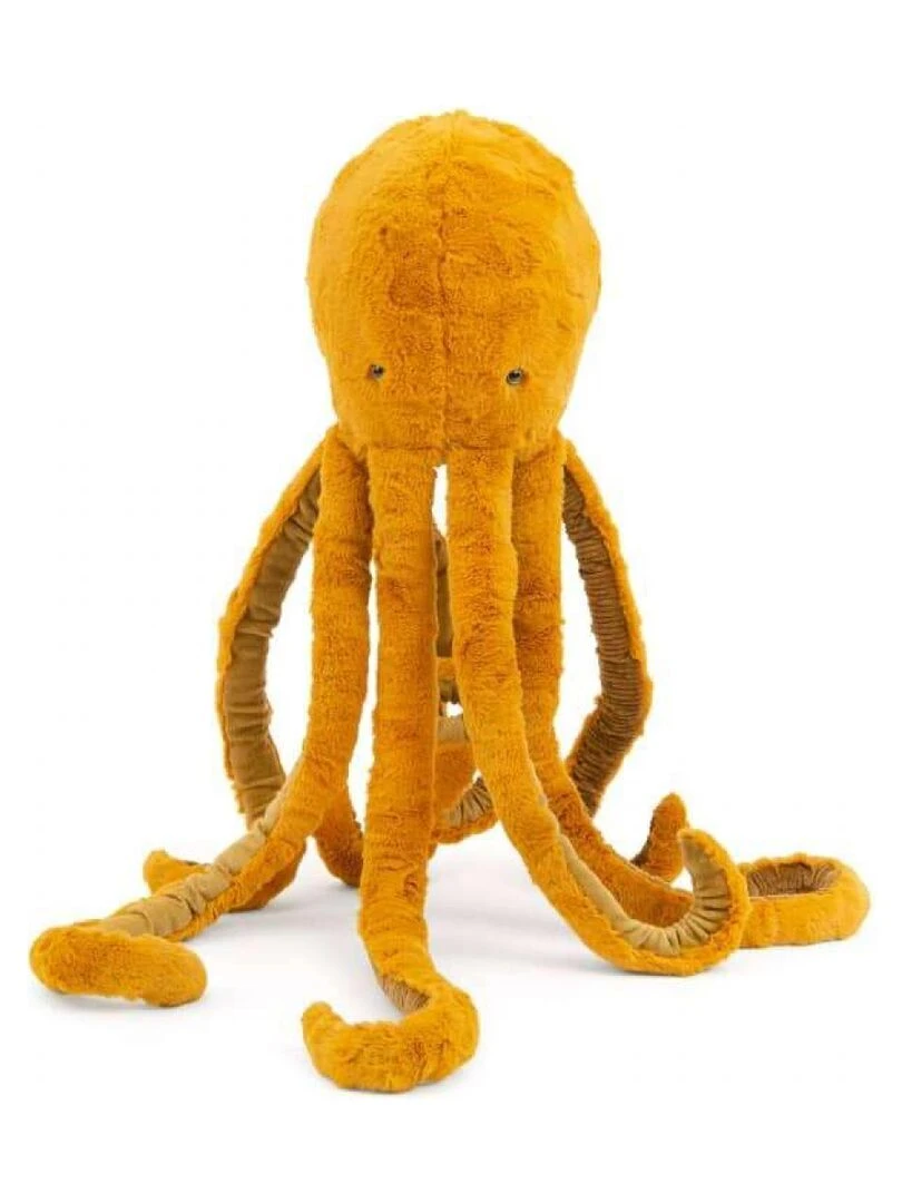 Grand poulpe Tout autour du monde   Orange