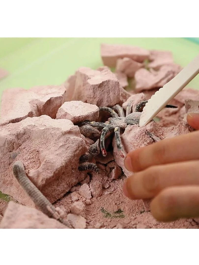 Kit Découverte de la Science   Déterre Les Insectes   N/A