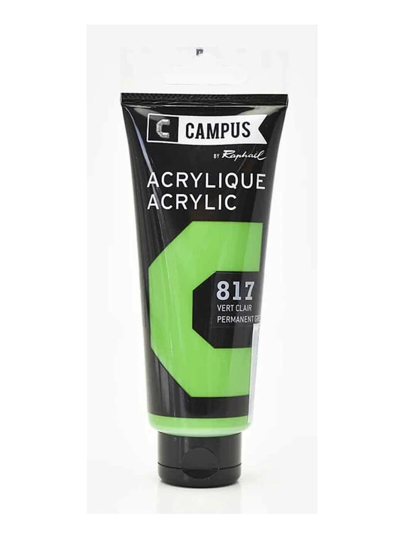 Peinture acrylique 100 ml Vert clair n°817 N/A