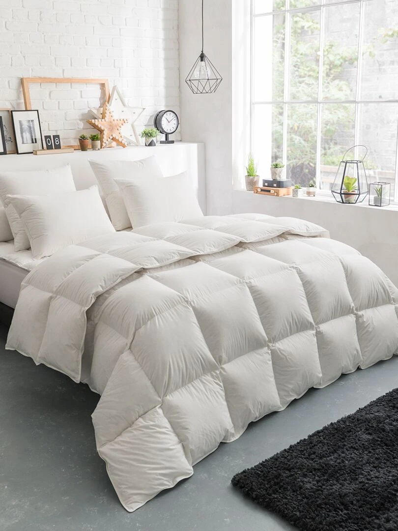 DODO Couette Thermoduv TEMPEREE 70% Duvet d'Oie Blanc