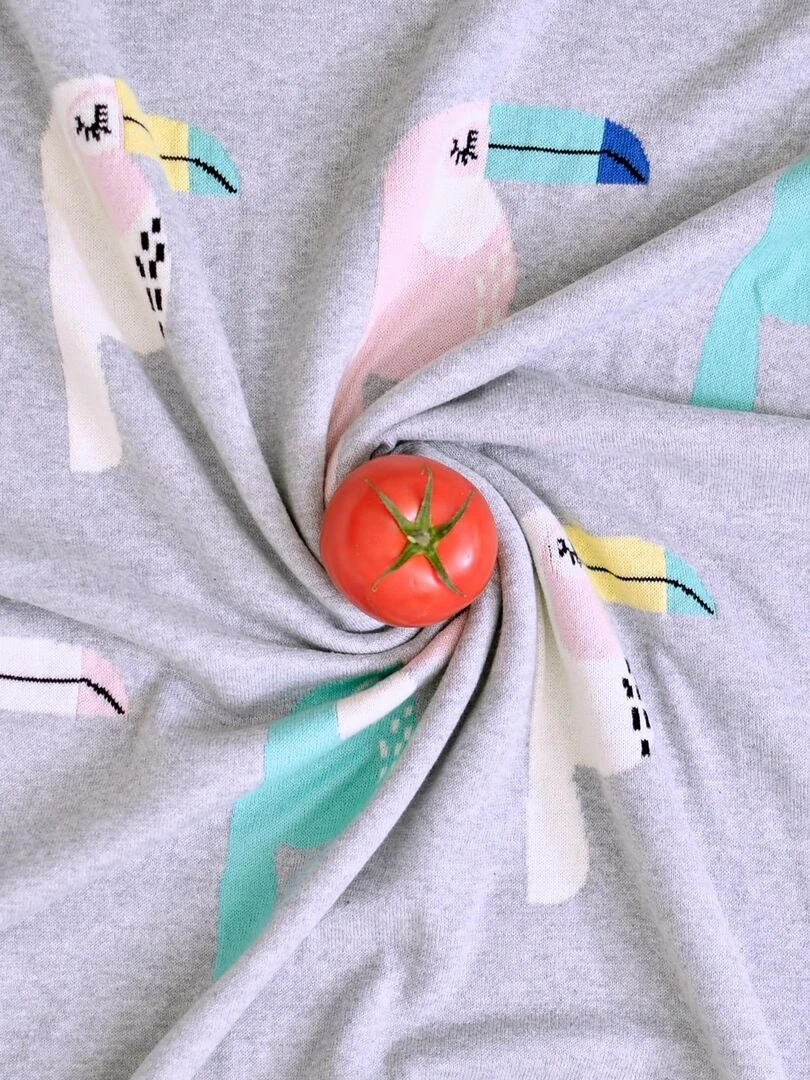 Couverture   TOUCAN   Gris